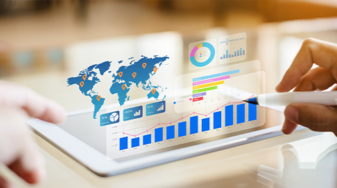 Overview of the Daily Trip Report