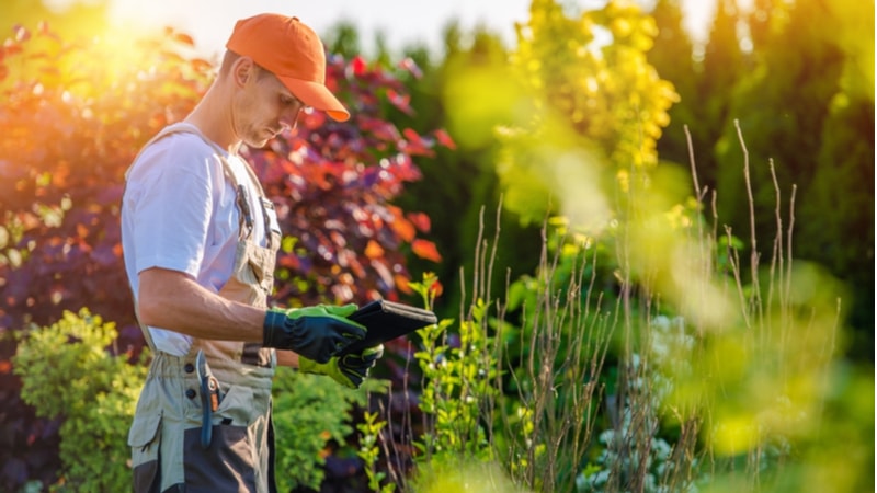How to start a landscaping business