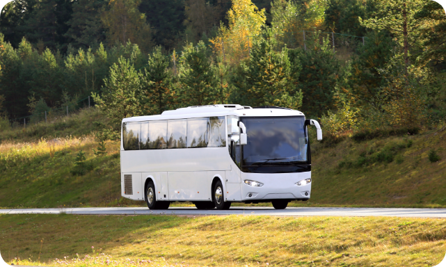 Swans Travel Limited