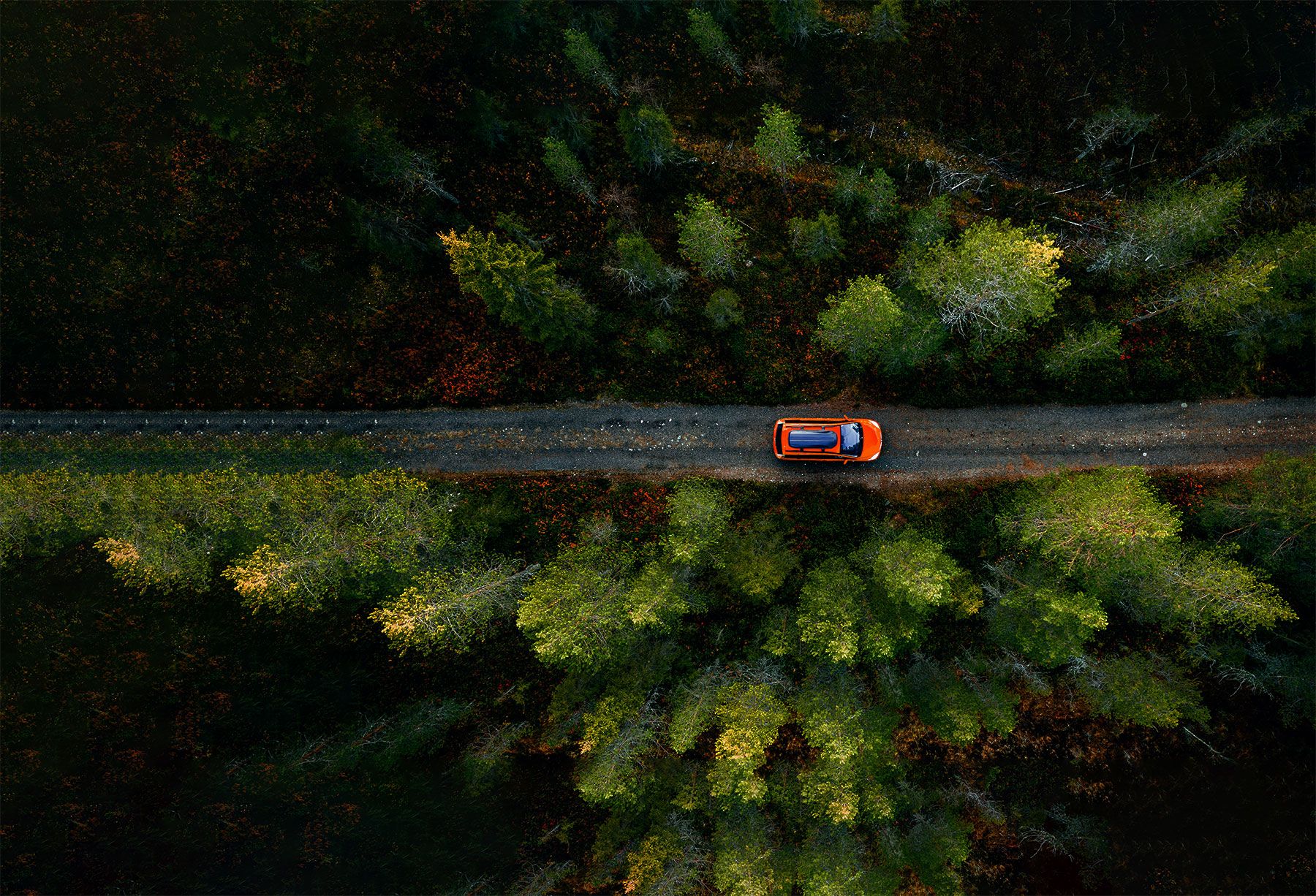 images/product-sheet/za/beame.jpg#joomlaImage://local-images/product-sheet/za/beame.jpg?width=1800&height=1226